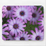 Aster Flowers Mouse Pad