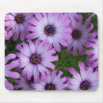 Aster Flowers Mouse Pad