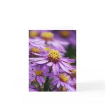 Aster flowers on a blank note card