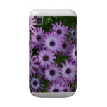 Aster Flowers Samsung Galaxy Case