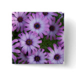 Aster Flowers Square Pin