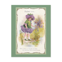 Aster Girl Vintage Flower Variety Post Cards