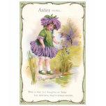 Aster Girl Vintage Flower Variety t-shirts