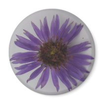 Aster Refrigerator Magnet