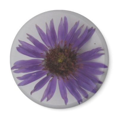Aster Refrigerator Magnet by ggbythebay