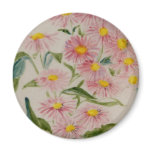 Aster magnets