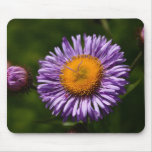 Aster mousepads