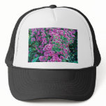 Aster novae-angliae "Alma Potchke", New England as hats