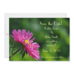 Aster Save the Date Card invitations