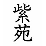 Aster - SHION t-shirts