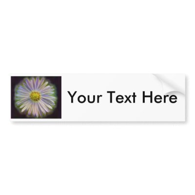 Aster Tataricus Flower With Energy Aura Bumper Stickers by Something4All