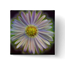 Aster Tataricus Flower With Energy Aura Buttons