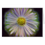 Aster Tataricus Flower With Energy Aura Greeting Card