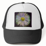 Aster Tataricus Flower With Energy Aura Mesh Hat
