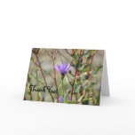 Aster Thank You Greeting Card