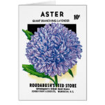 Aster Vintage Seed Packet Greeting Cards