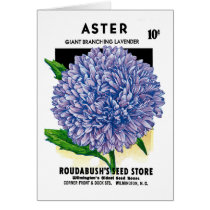Aster Vintage Seed Packet Greeting Cards