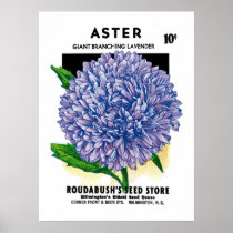 Aster Vintage Seed Packet Print