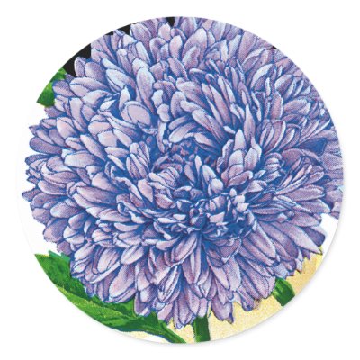 Aster Vintage Seed Packet Stickers by SunshineDazzle
