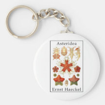 Asteridea by Ernst Haeckel Key Chains