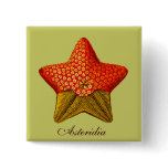 Asteridia (starfish) square button