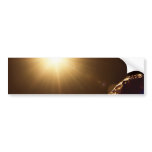 Asteroid Phaeton bumper stickers