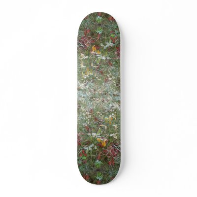 Asters, agrimony and hoar-frost skate board deck by inspirelove