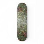 Asters, agrimony and hoar-frost skateboards