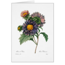 Asters Greeting Cards