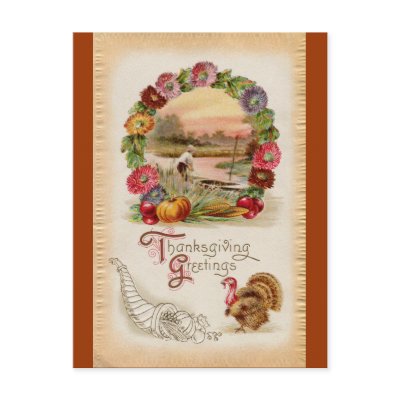 Asters, Cornucopia & Turkey Thanksgiving Post Card by pinkalmond