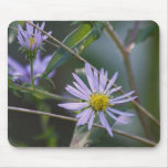 Asters mousepads
