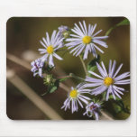 Asters mousepads