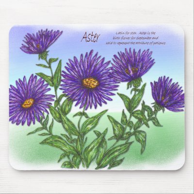 Asters Mousepads by artbyjehf
