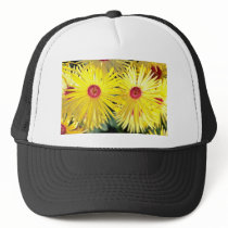 Asters Pink flowers Hats