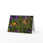 Asters Under Glass cards