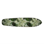 Astilbe Flowers Skateboard