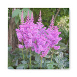 Astilbe ~ magnet