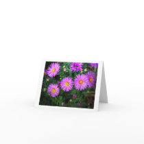 Astors Greeting Cards