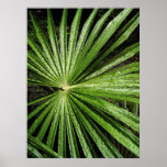 Astral Leaf posters