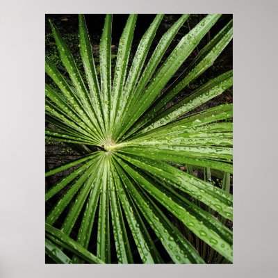 Astral Leaf Posters by ArtXpress