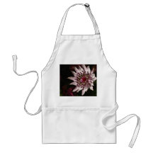 Astrantia Apron