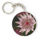 Astrantia Close Up Key Chain
