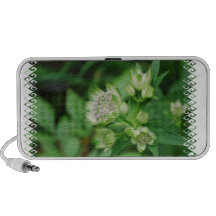 Astrantia Flowers Portable Speakers