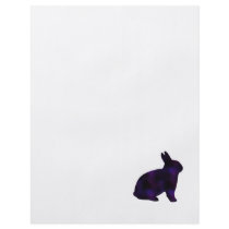 Astro Bunny Full Color Flyer