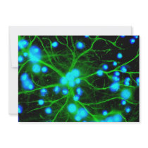 Astrocyte Are Star Shaped Glial Cells in the Brain Announcement