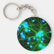 Astrocyte Are Star Shaped Glial Cells in the Brain Key Chains