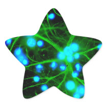 Astrocyte Are Star Shaped Glial Cells in the Brain Star Sticker