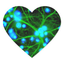Astrocyte Are Star Shaped Glial Cells in the Brain Heart Stickers