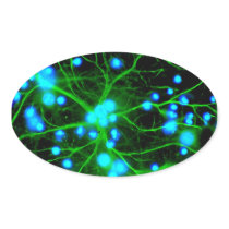 Astrocyte Are Star Shaped Glial Cells in the Brain Oval Stickers