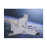 Astronaut Cat (Spirit) on Space Shuttle Post Card
